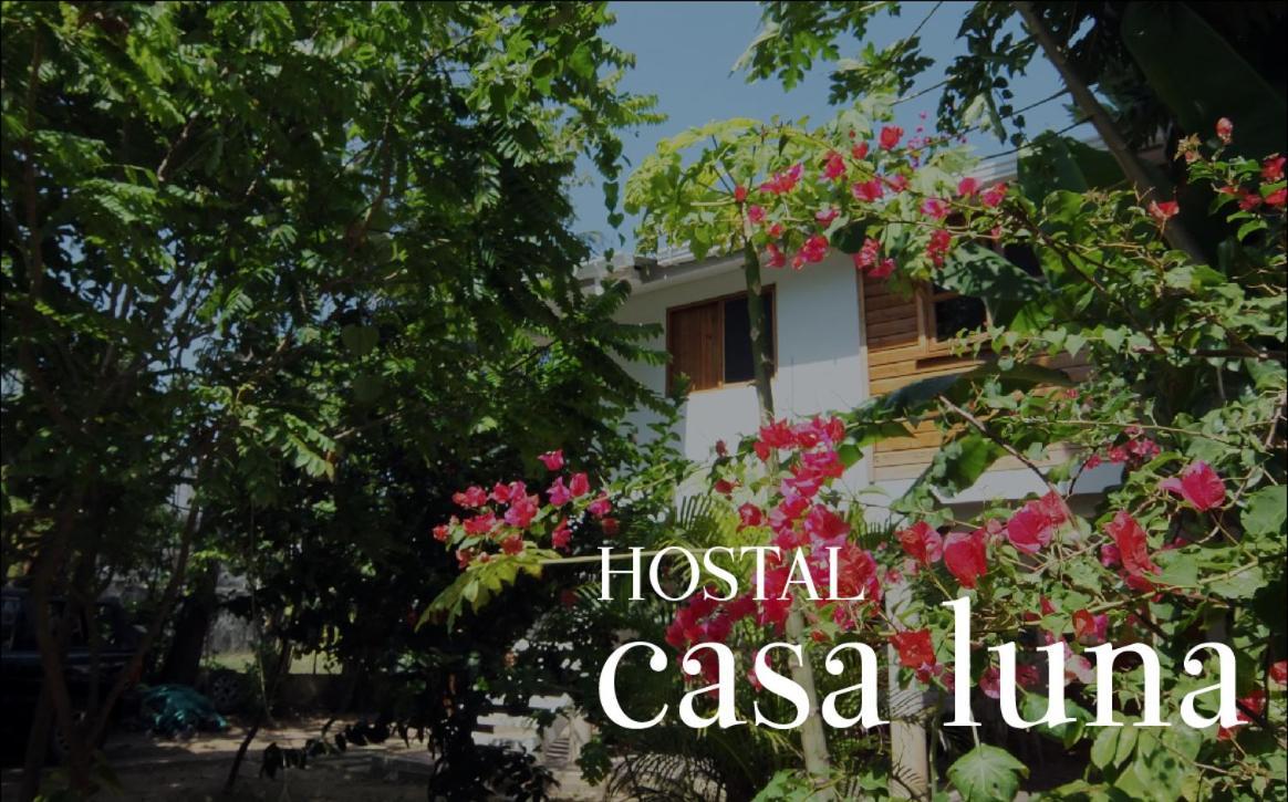 Hostal Casaluna San Andres ภายนอก รูปภาพ